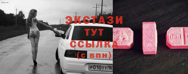 индика Богородицк